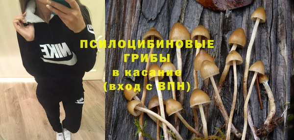 ECSTASY Алексеевка