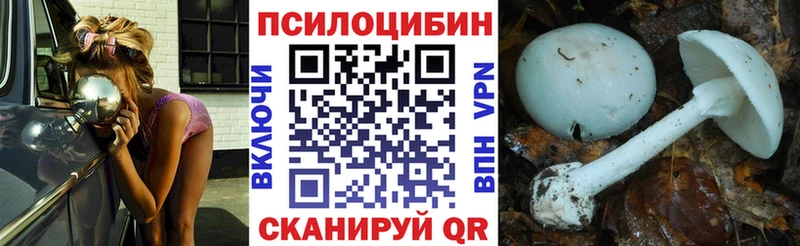 Псилоцибиновые грибы мицелий  Купить закладки  Правдинск 